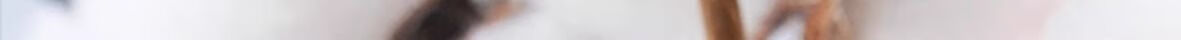 361° Summer Men's Antibacterial Sweat-Absorbing Breathable Cotton Socks Deodorizing Casual Sports Ankle Socks Light Gray - 4 Pairs One Size 2