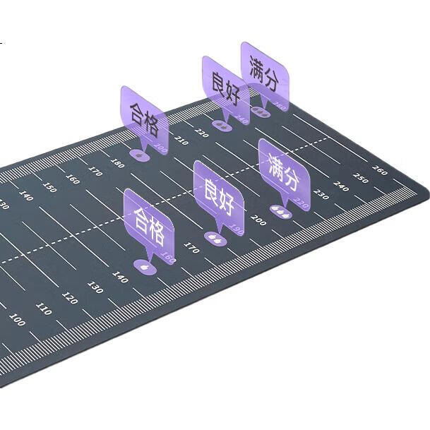 Коврик для прыжков Keep Standing Long Jump Test Specialized Mat, нескользящий, для домашних тренировок, для вступительных экзаменов в среднюю школу, расширенная версия 300*90 см