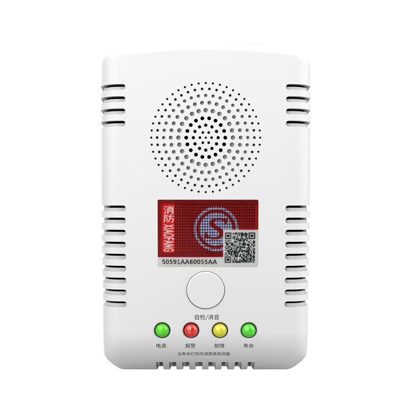 PGST Gas Alarm Natural Gas Home Kitchen Combustible Gas Detector Liquefied Natural Gas Alarm-219