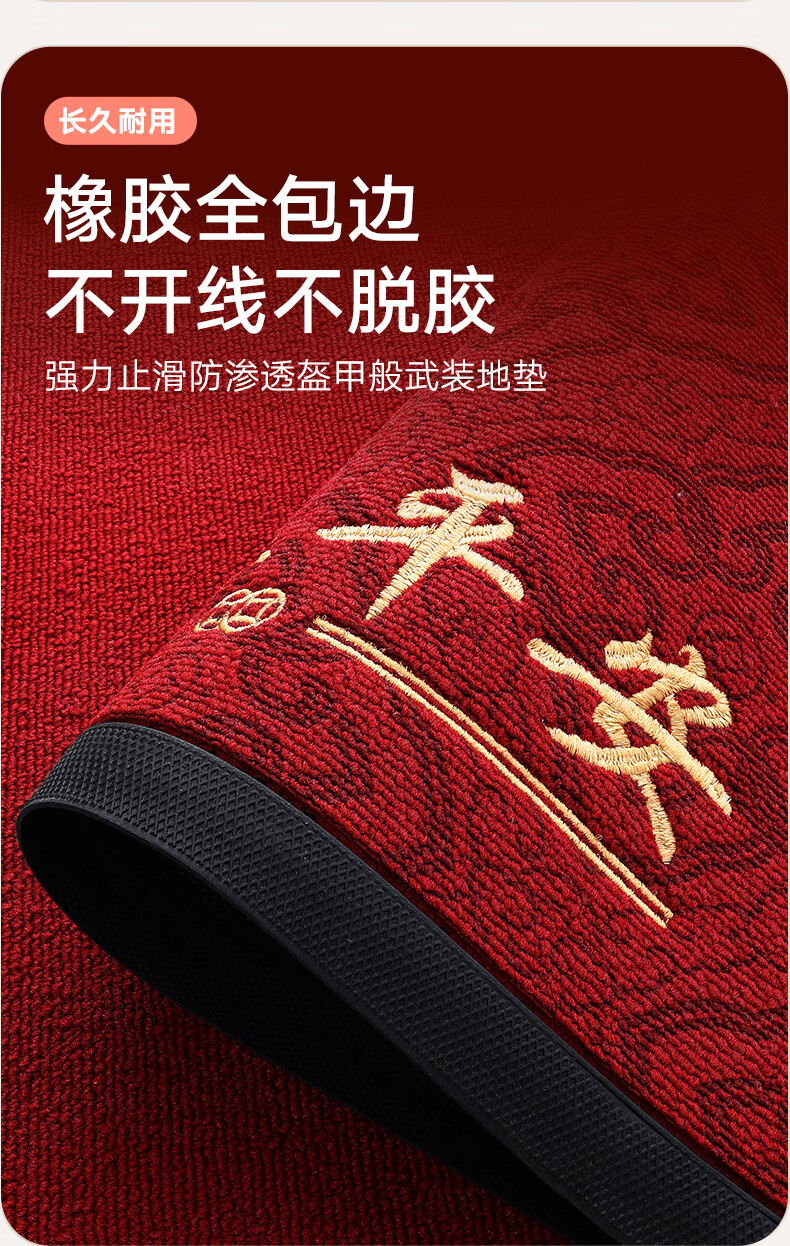 Da Jiang Safe Entry Door Mat Floor Mat 2025 New High-End Entrance Rug 80x120cm 2