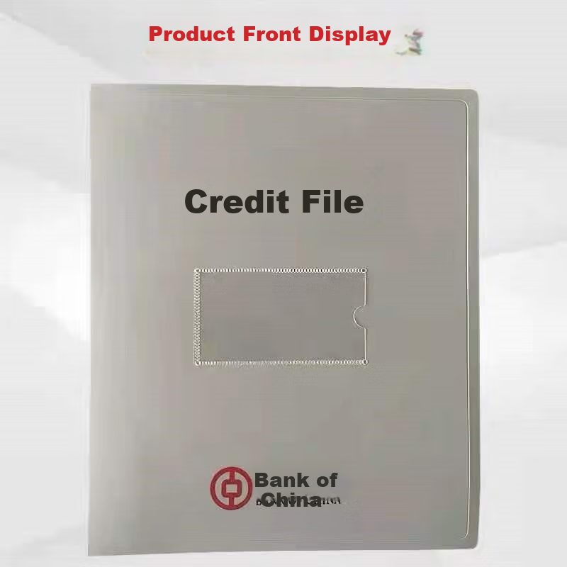RYZH Credit File Box, PP Plastic File Box, Spine Thickness up to 40mm, 20 Pages inside, 310mm*260mm*40mm, 50 Pieces/unit 2