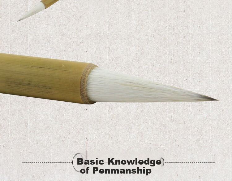 Fenshang Jiajian Large, Medium And Small White Cloud Calligraphy Brush Set, Student Calligraphy And Chinese Painting Classroom Brushes, Adult Beginner's Clerical Script And Regular Script Children's Practice Calligraphy Brushes for Training Classes 4