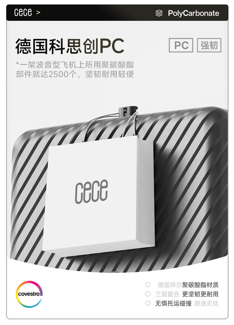Cece Large Capacity Suitcase with Password Lock for Women And Men, Durable Travel Luggage, Gray, 26 Inches - Check-In Luggage 6