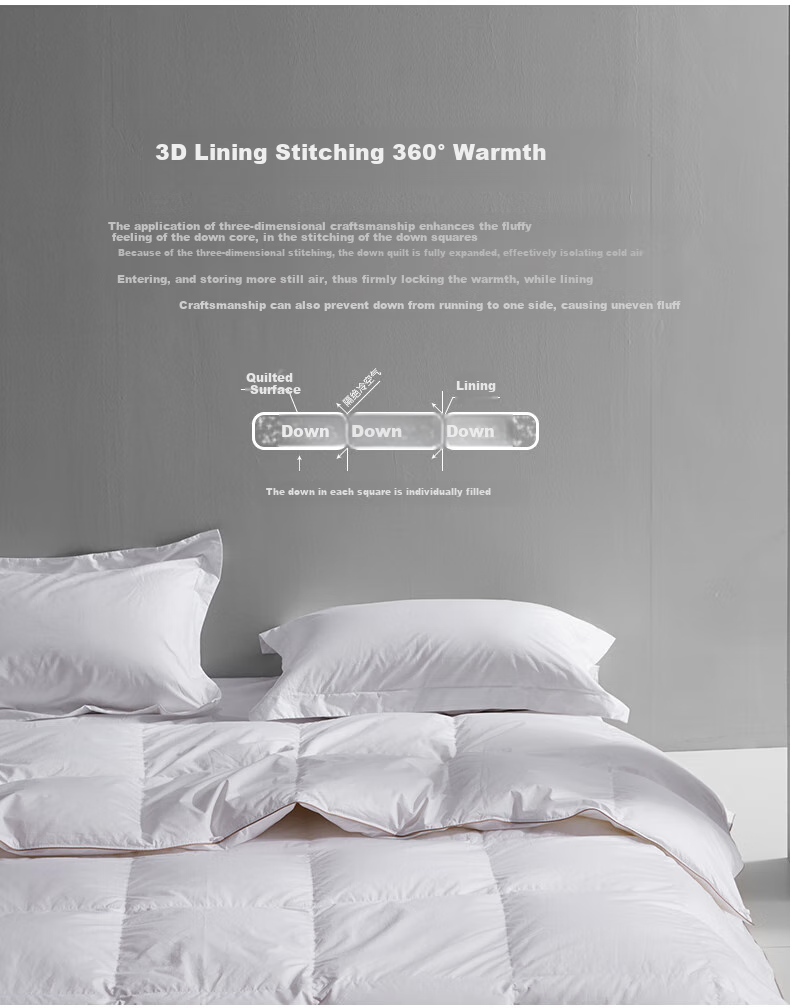 Sinuoman High-Quality 100% Imported 95% White Goose Down Duvet Insert, Comforter for Air Conditioning And Heating, 2.2*2.4m, 320g Filling, Gray 12