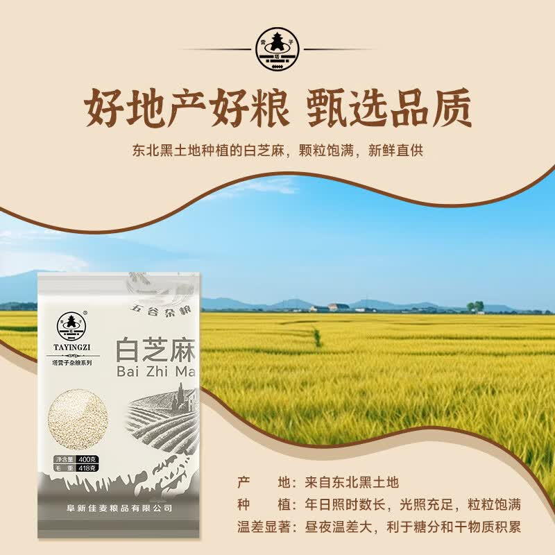塔营子生白芝麻400g 烘焙辅料生白芝麻 杂粮粗粮真空包装