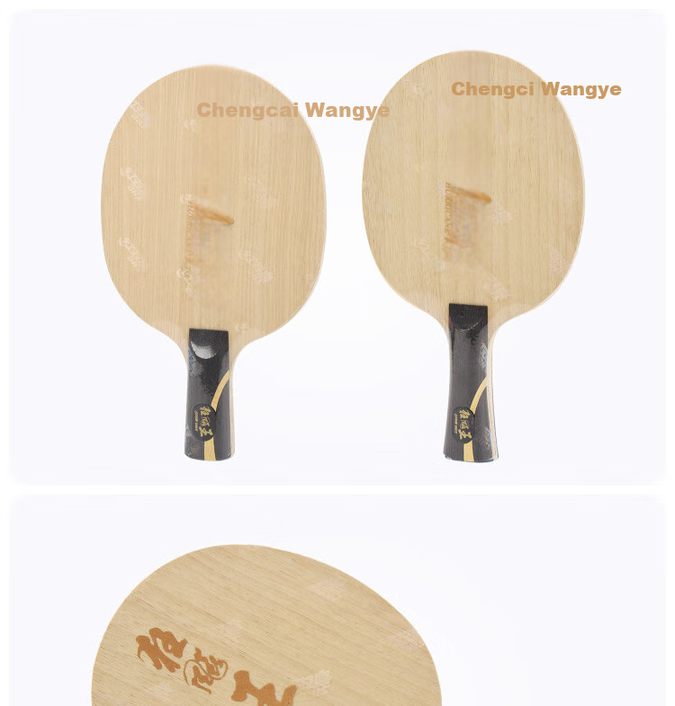 DHS Kuangbiao Wang Wang Chulin Same Model Blade, Built-In Carbon Fiber Table Tennis Blade, Table Tennis Racket, Penhold Grip FL 3