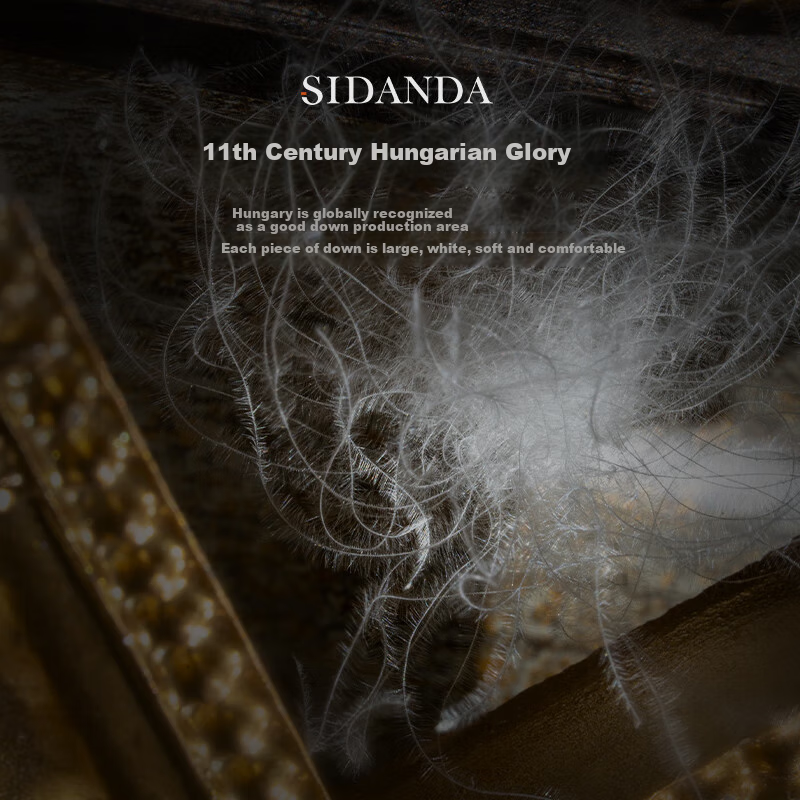 SIDANDA All-Goose Down Pillow, Hungarian 95% White Goose down Pillow, Five-Star Hotel Pillow, Puff Pillow, High Pillow