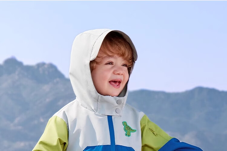 Qiqi Bear Boys' Windbreaker Outdoor Jacket Children's Autumn 3-in-1 Thickened Baby Three-Proof Winter Coat 13
