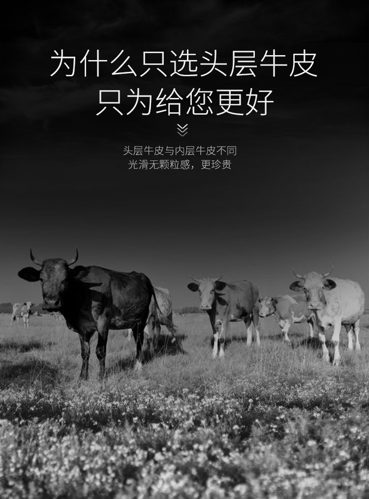 谢仕杰190226优尔卡方向盘套PC端6.jpg