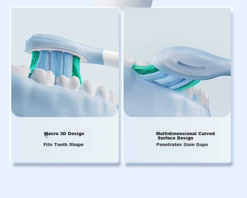 Midea Electric Toothbrush Heads TY2 Compatible with S1PX/MR1 New Version/S5/YS7/YM3/YM6pro/YM502, Brush Heads*2 5