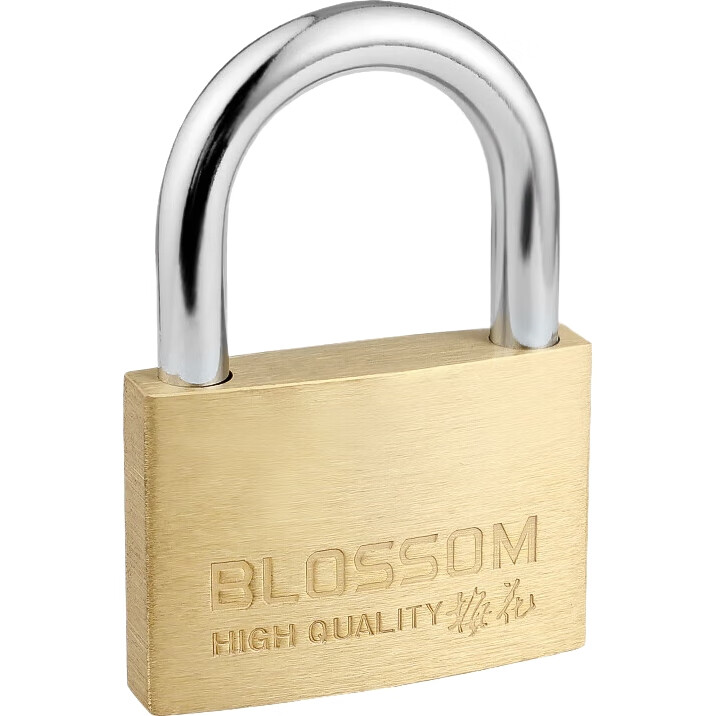 Замок BLOSSOM Copper Padlock, водонепроницаемый и устойчивый к ржавчине, для дома, общежития, шкафов и дверей, антивандальный оконный замок, 55 мм (076)