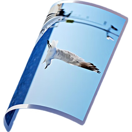 White Image 1