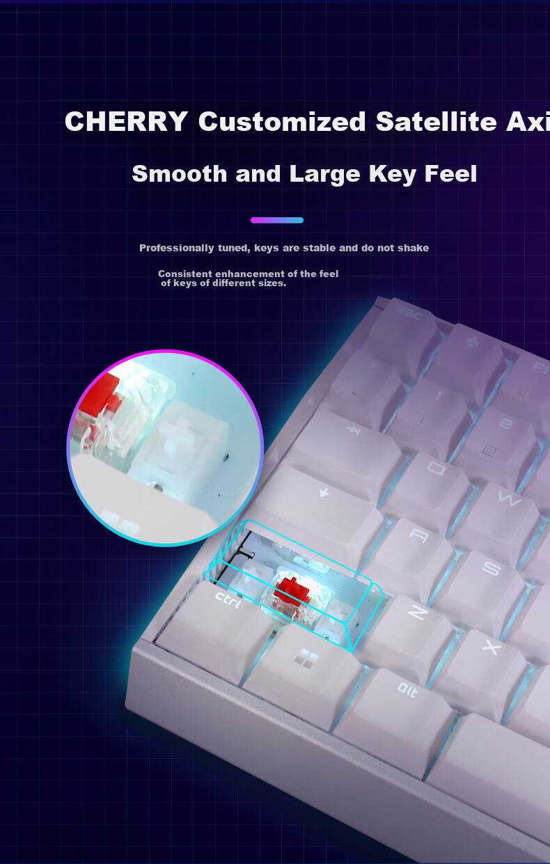 CHERRY MX3.0S TKL Mechanical Keyboard, RGB Lighting Effects, E-Sports Gaming Keyboard, Wired Keyboard, Office Keyboard with 87 Keys, Pink Red Switches 8