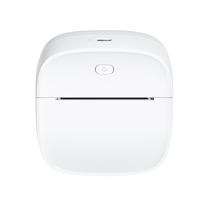 MiaoMiaoJi HD 2-Inch Error Correction Printer Student Mistake Organizer Portable Mini Pocket Thermal Learning Printer P1S