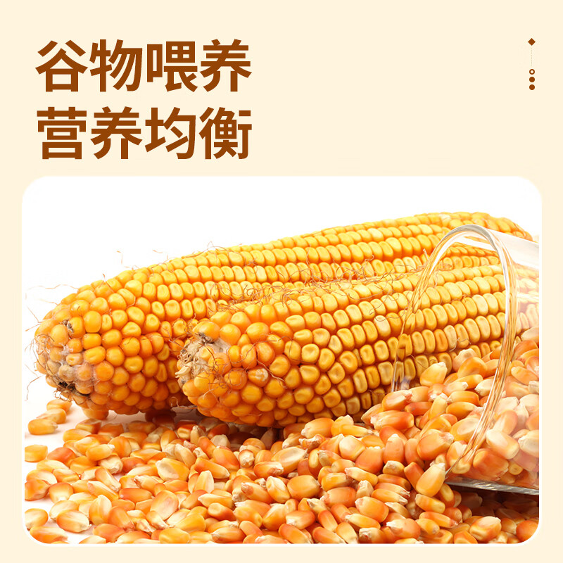 温氏供港鲜鸡蛋40枚/4斤家庭装 杂粮喂养 生鲜鸡蛋  牛奶早餐健康食材