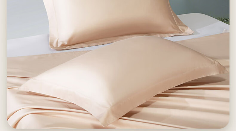 Bailisi Pillowcase, 60S Pure Cotton 100% Long-Staple Cotton Pillowcase, Class A Bedding, Satin Breathable Home Double Pillowcase 16