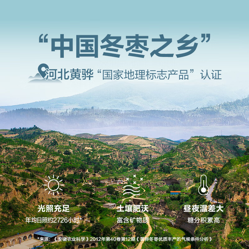 良品铺子良品如意枣脆冬枣香酥脆枣果干果脯休闲零食年货小吃35g