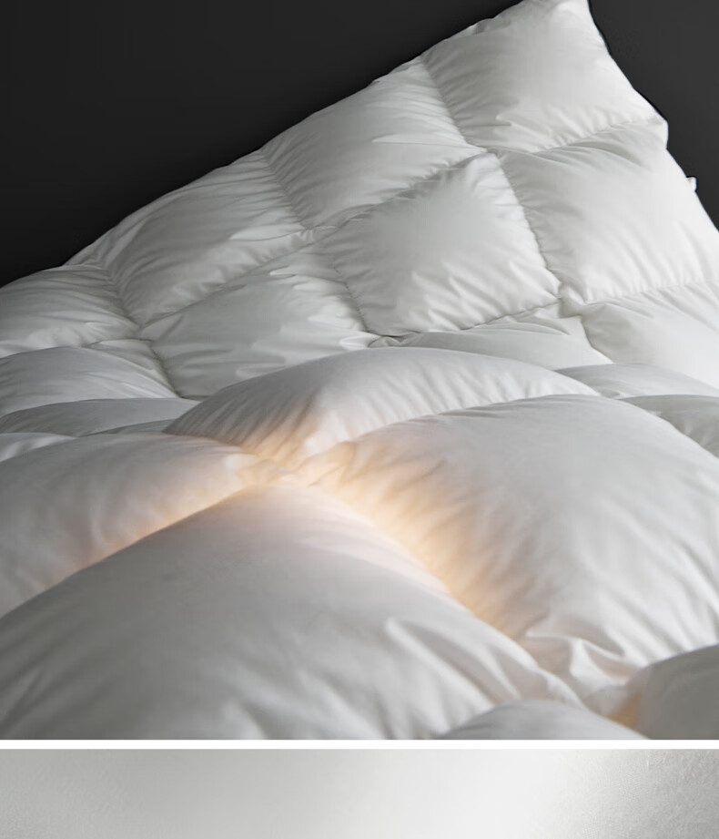 SIDANDA down Comforter, 4A Grade 95% White Goose Down, 100 Count Pure Cotton Antibacterial Goose Down Filling, Summer Quilt, 200*230cm 4