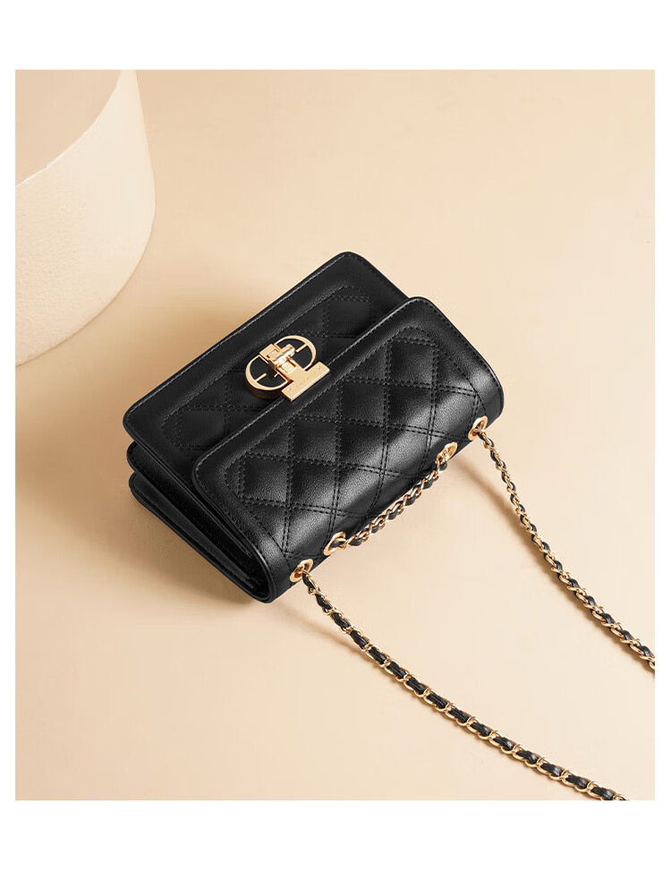 Aokang Women's Handbag, Fashionable Diamond Pattern Chain Bag, Light Luxury Crossbody Shoulder Bag, Birthday And 520 Gift for Wife Or Girlfriend 2