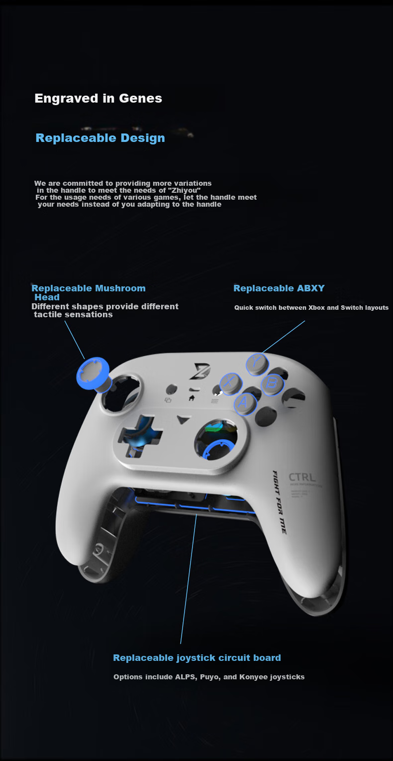 Zhidong Yingyi Ypro Wireless Game Controller, Hall Effect Joystick, Replaceable Mechanical Buttons, Compatible with Switch/switch2, PC, Mobile Phones, Motion Sensing NS, [White] 6