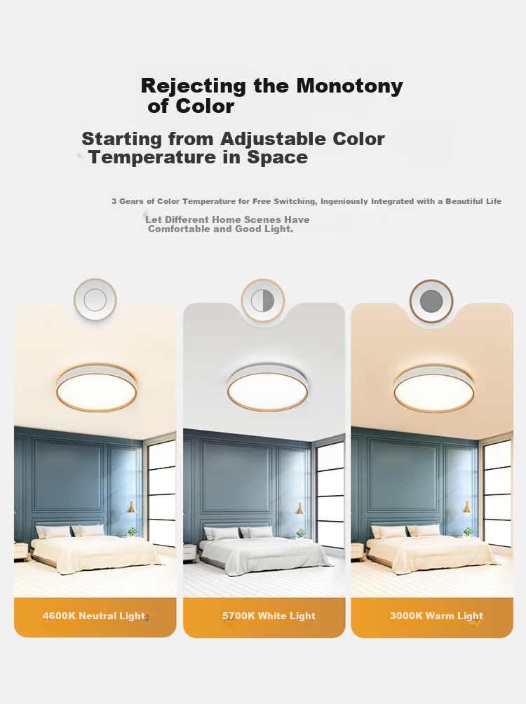 BULL Ceiling Light, Full Spectrum Bedroom Lamp with Three-Level Dimming, 24W, Ra97 Color Rendering Index [Installation Included] 4