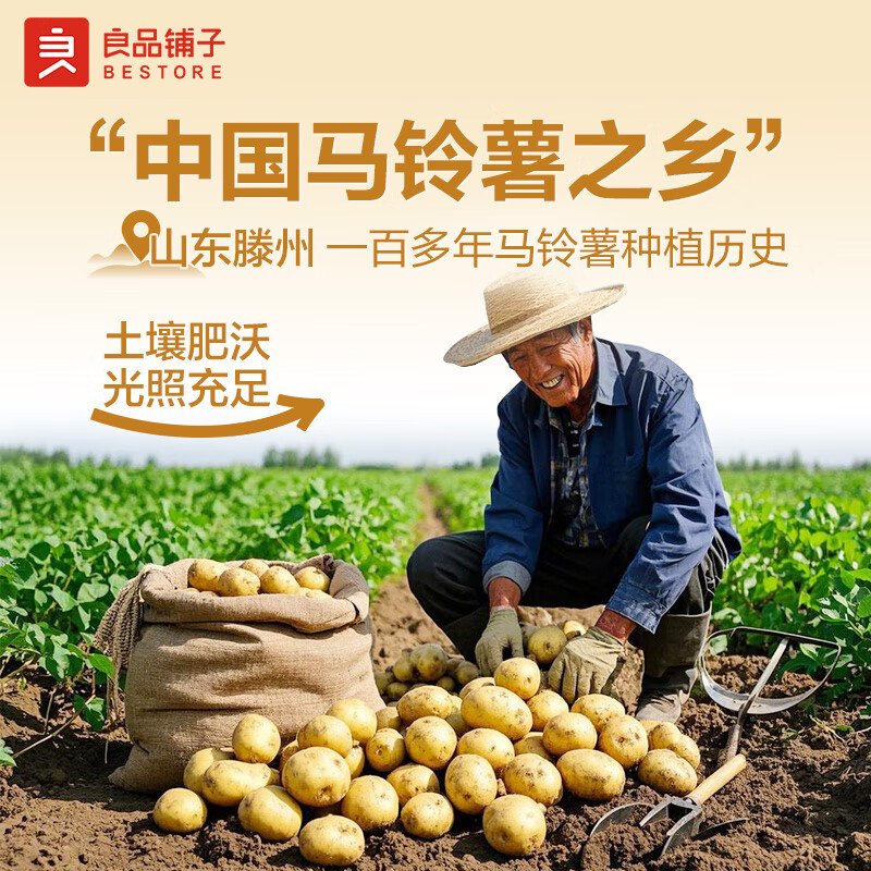 良品铺子酥脆薄饼薄脆饼干原味早餐饼干休闲零食年货小吃小零食300g