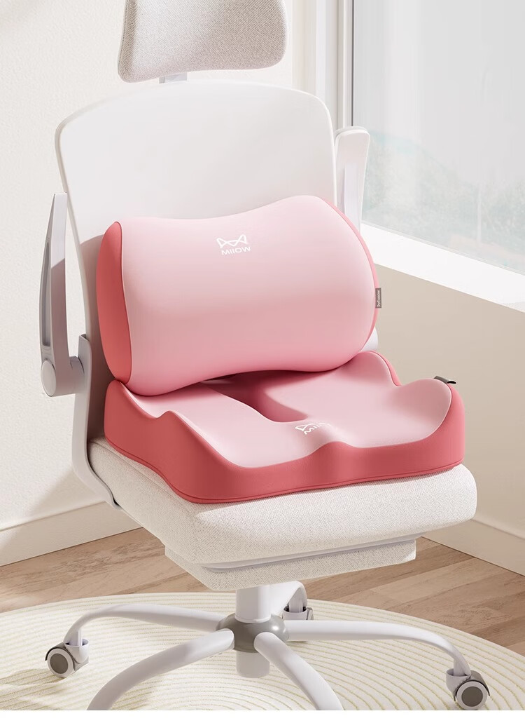 MiiOW Office Lumbar Support Cushion for Chair Backrest, Waist Pillow for Office Chair, Student and Pregnant Women Long Sitting Back Support Pad 20
