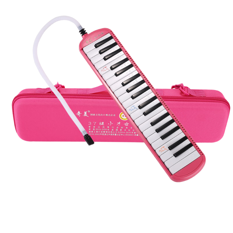 Qimei 37-Key Mini Accordion for Beginners, Recommended by Teachers (Pink, EVA Lightweight Hard Case, with Playing Instructions)