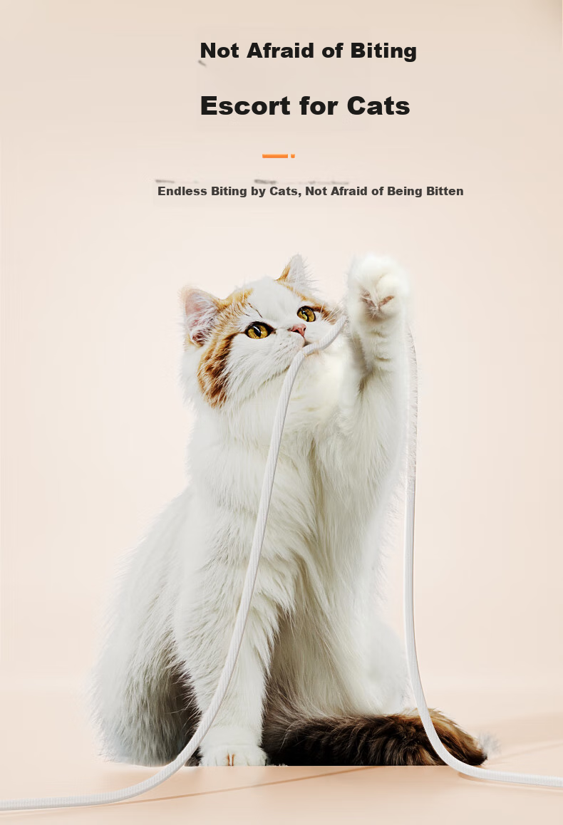 Honeywell Pet Air Purifier for Cat Hair Removal, Allergen Elimination, Cat Companion, Cat Hair Cleaner, Sterilization, Disinfection And Odor Removal KJ360F-C22W 17