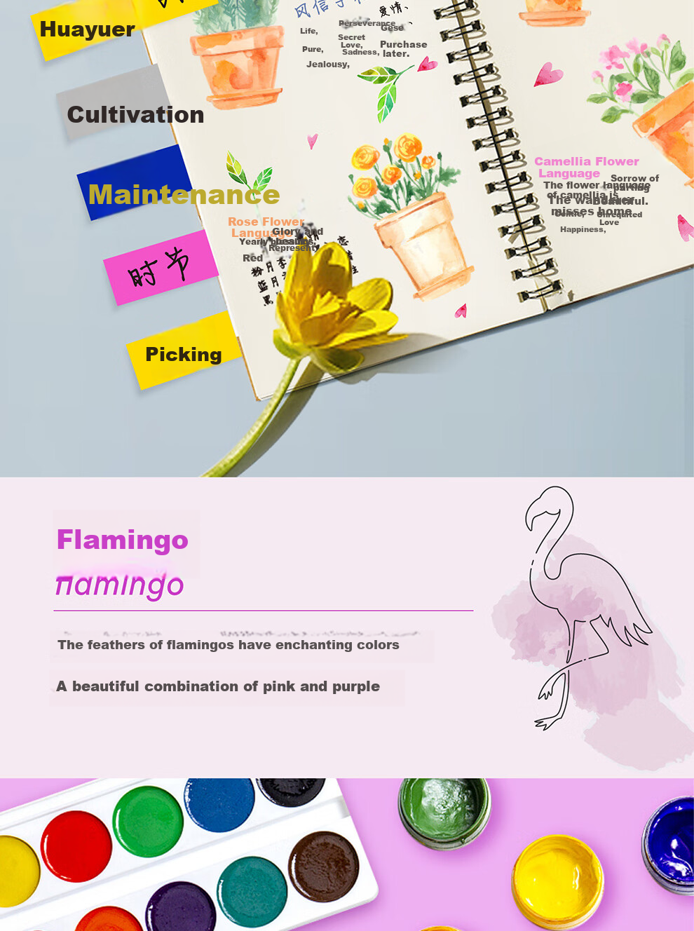 3M Sticky Notes, Memo Pads/Note Paper/Notepad/Notebook, Office Supplies, School Stationery, Firebird, 5-Color Sticky Notes with Pull-Out Labels, 688MC-7 6