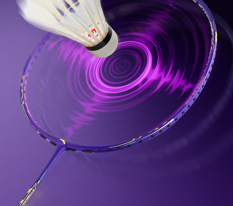 ANTA Badminton Racket Dingyin 600 Offensive Full Carbon Ultra-Light Durable Professional Badminton Racket White Rainbow Silver 4