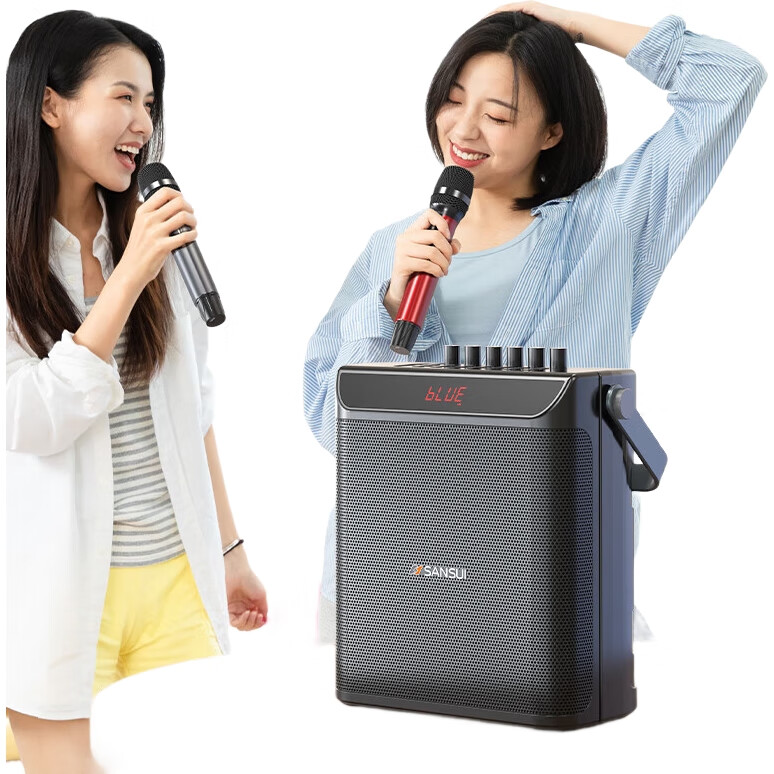 Портативная колонка SANSUI E76, 25 Вт, Bluetooth 5.0, с двумя беспроводными микрофонами, для караоке, вечеринок и выступлений