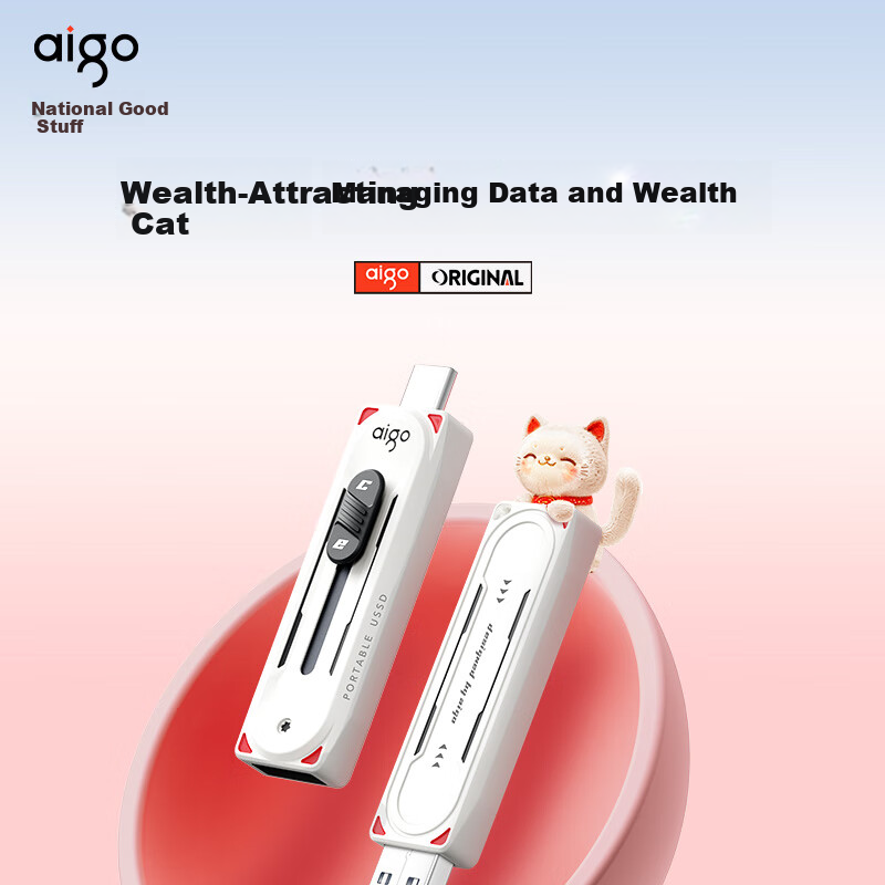 Aigo 512GB-01307672