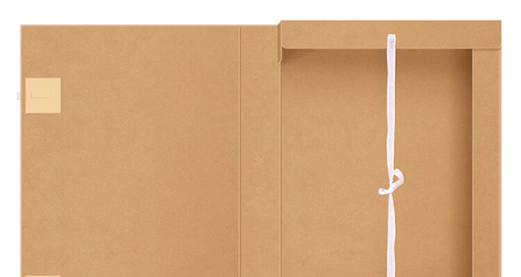 DiLe Premium Series Acid-Free Kraft Paper File Box, Large Capacity A4 Document Storage Box, 2cm Office Supplies, Pack of 10, 1322 14