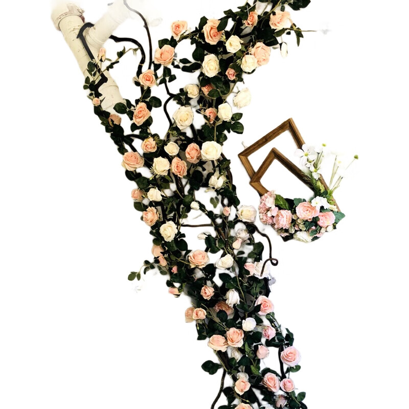 White Image 2
