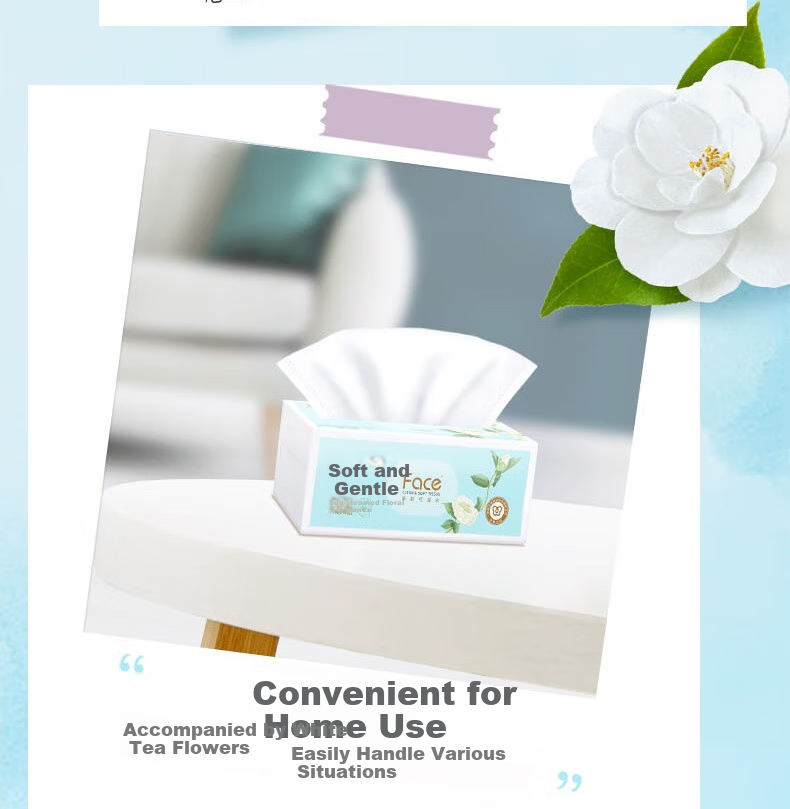 Jierou Facial Tissues, Face White Tea Scent, 3-Ply, 120 Sheets, 6 Packs, PR248-48R/PR295 Single Pack 11