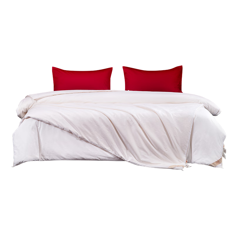 SILKUEEN 【Golden Harmony】100% Premium Mulberry Silk Gold Thread Wedding Quilt Set 1+3 Jin 200*230cm