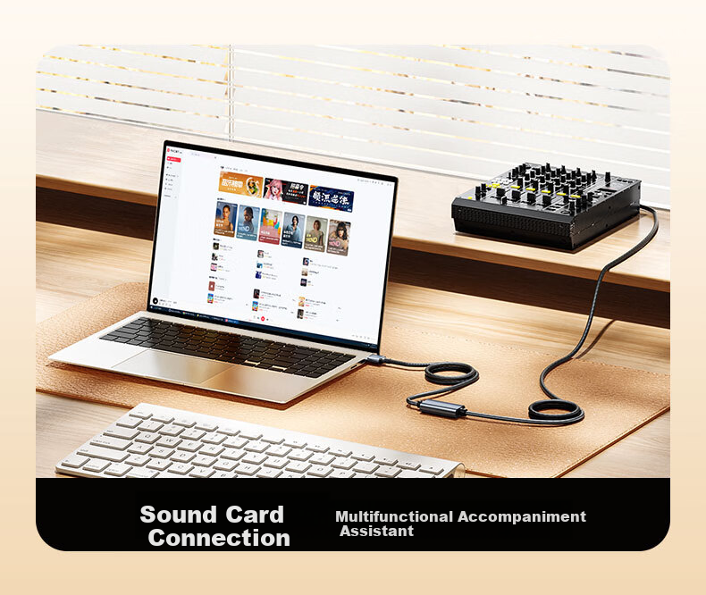 BIAZE Audio Recording Cable, Live Streaming Audio Bridge, USB Port for Live Streaming Sound, Return Audio Recording, High-Definition Computer Tablet And PUBG Undistorted Game Sound Quality, Audio Cable 3