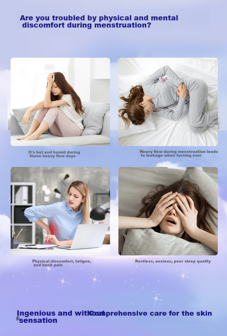 Elis Wang Guangyu Sleep Pants [12-Hour Antibacterial], 2 Pieces, L Size, Ultra-Thin Menstrual Pads, Sanitary Napkins, Sold by JD 2