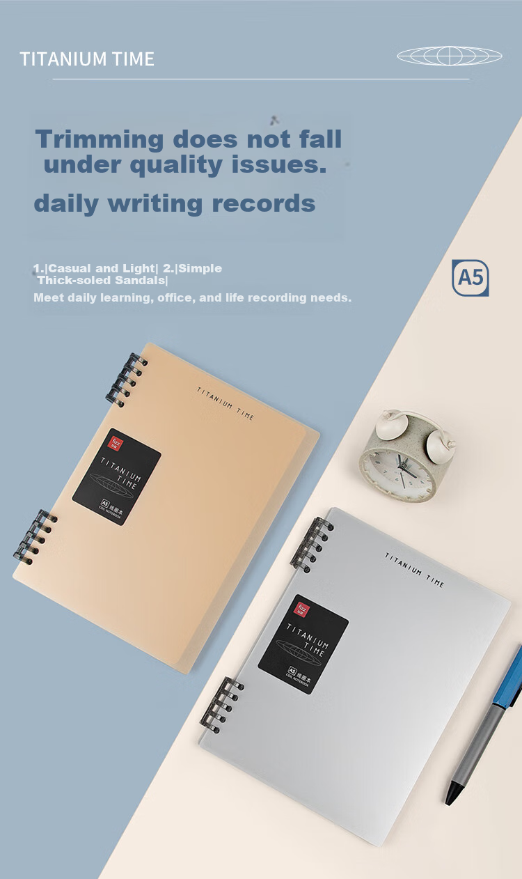 Fizz A5 Notebook with 60 Sheets, 10 Detachable Ring-Bound Loose-Leaf Pages, PP Cover, Memo Pad, Journal, Diary, Study Book, Gray Silver FZ33725 2