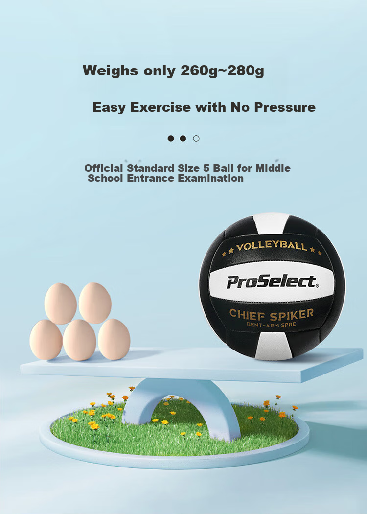 ProSelect Volleyball, Cool Reflective Professional Machine-Stitched, Student High School Entrance Exam Training, Size 5 Hard Volleyball, GV434M 1