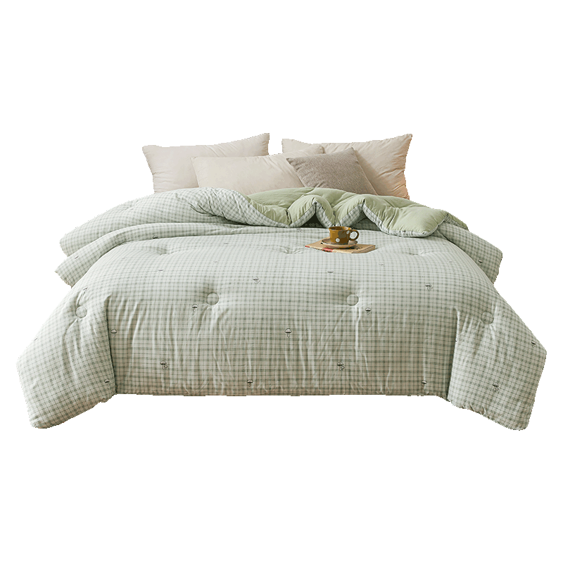 Grace Class A Antibacterial Cotton Quilt Single Dormitory Comforter Autumn Winter 6 Jin 150*200cm