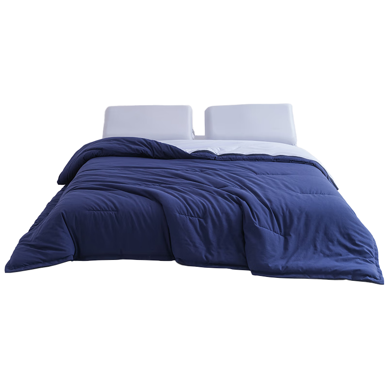 Jiuzhoulu A-Class Deep Sleep Quilt PRO Double-Layer Temperature Control Quilt Core Spring and Autumn 1.5*2m Air Conditioning Quilt Four Seasons Use No Duvet Cover 5 Jin