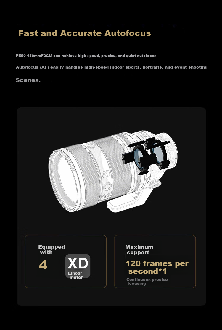 SONY FE 200-600mm F5.6-6.3 G OSS Full-Frame Super Telephoto Zoom G Lens Birding Lens (SEL200600G) 17