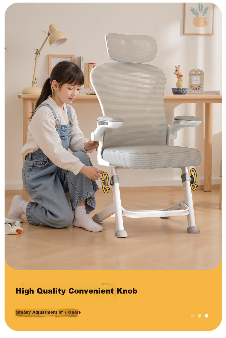 Quanpinwu Computer Chair, Study Chair, Office Chair, Ergonomic Chair, Student Chair, Lumbar Support Chair, Swivel Chair, Gaming Chair, Height Adjustable 10