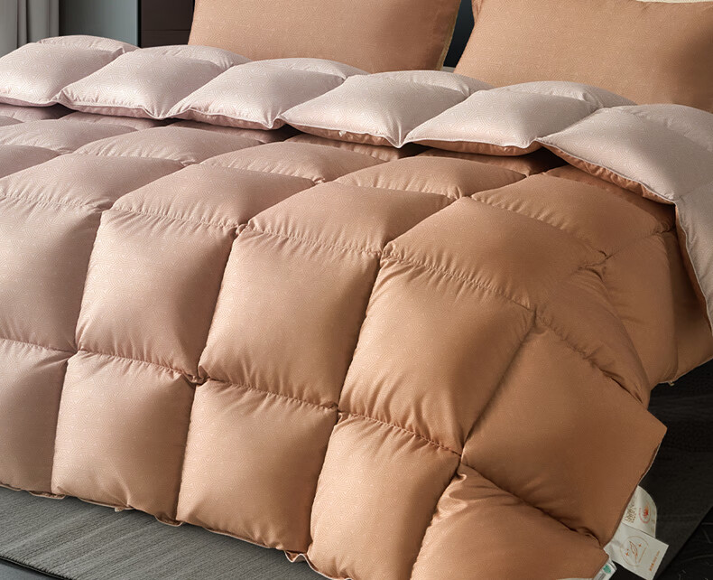Bellees 90% Duck Down Quilt A-Grade Fabric Antibacterial Autumn Winter Warmth 1000g Filling 2