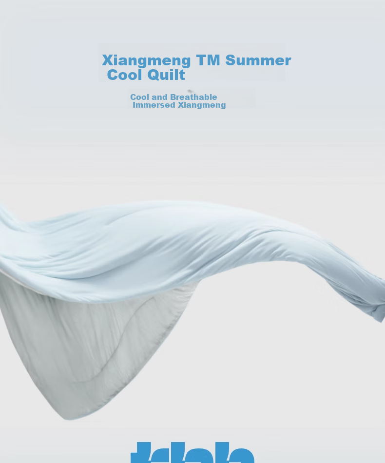 Tbh Xiangmeng™ Summer Cooling Quilt, Washable Air Conditioning Blanket, Summer Single/double Cooling Comforter, Rock Gray, 150X210cm 1