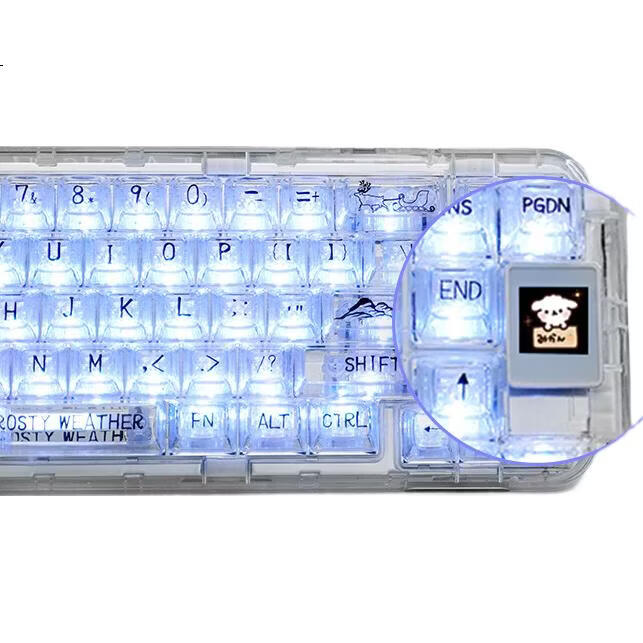 White Image 1