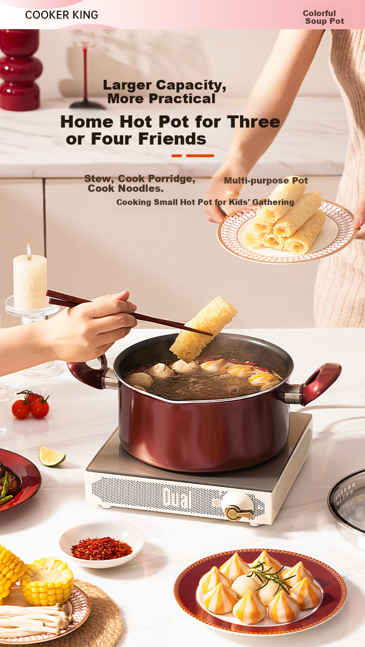 COOKER KING Non-Stick Soup Pot Easy-To for Stewing, Cooking Porridge, Milk Pot 22cm Compatible with Induction Cooker Colorful WG14320 4