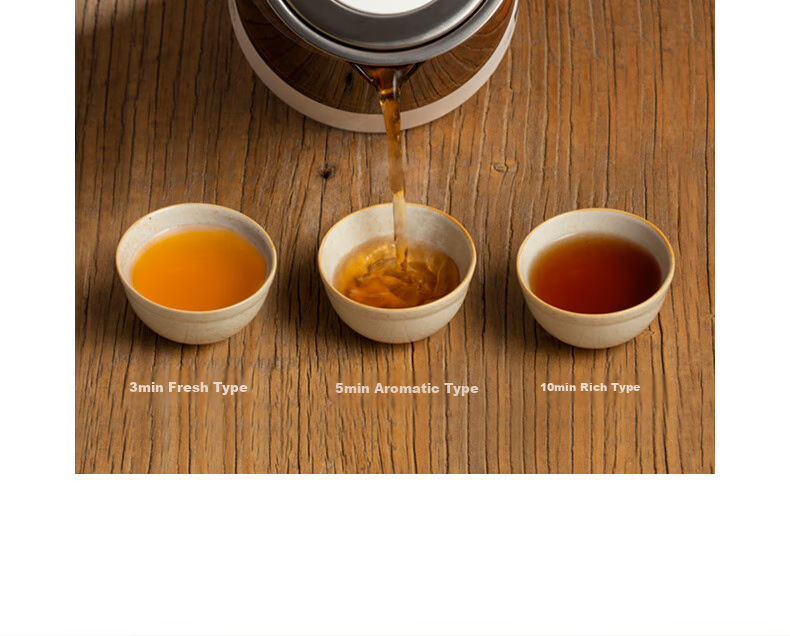 LIFE ELEMENT Health Pot Mini Tea Maker Electric Kettle for Brewing Tea, Decoction, Medicinal Herbs, Water Boiling, Smart Health Cup 0.6L I13-H02 5